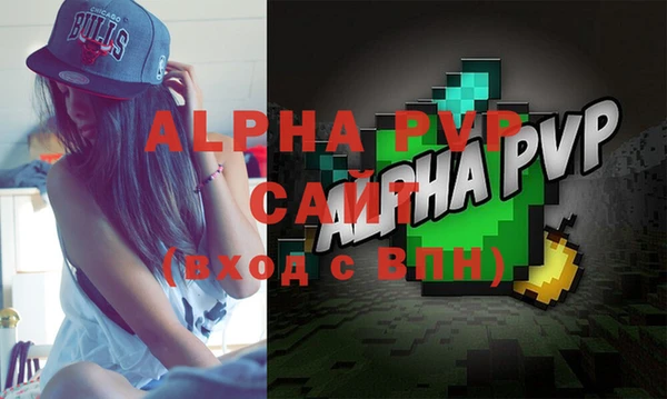 стаф Алексин